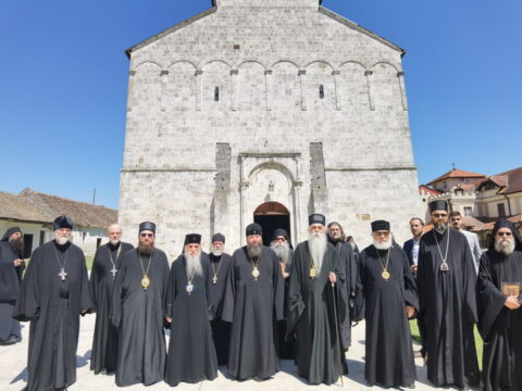 IMG_20240615_141444_resize