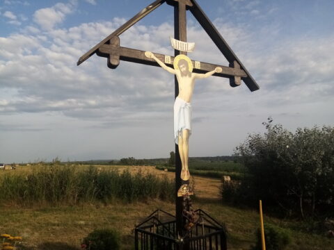 IMG_20240624_184731_resized_20240624_081926006_resize