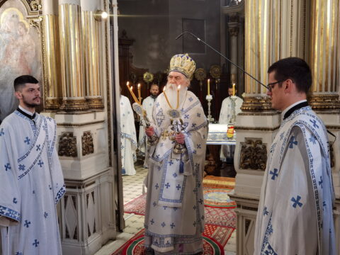 IMG_20240628_093424_resize