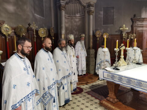 IMG_20240628_094356_resize