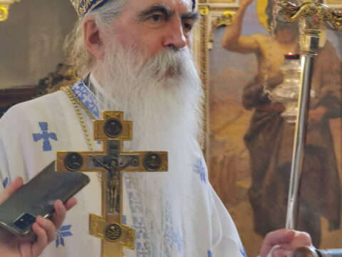 IMG_20240628_094623_resize