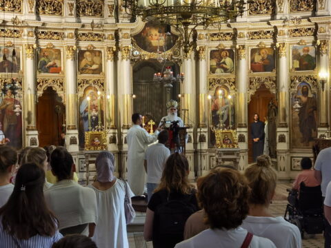 IMG_20240628_095055_resize