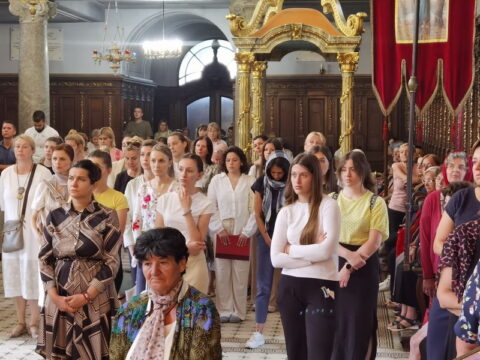 IMG_20240628_100102_resize