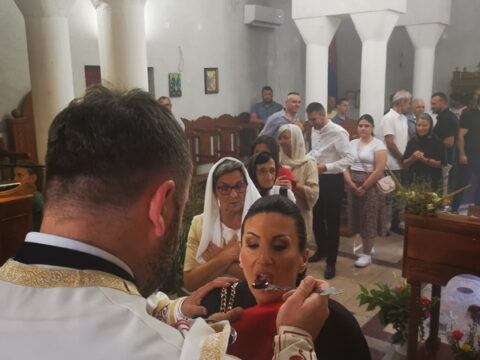 IMG_20240628_101918_resize