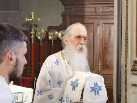 IMG_20240628_102256_resize