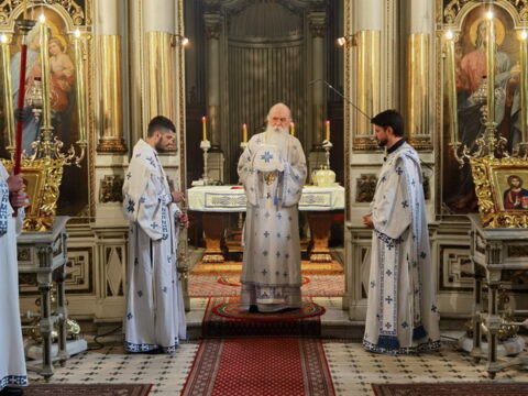 IMG_20240628_102320_resize