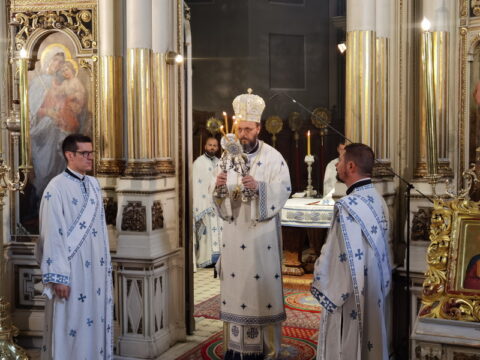 IMG_20240628_102546_resize