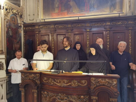 IMG_20240628_102602_resize