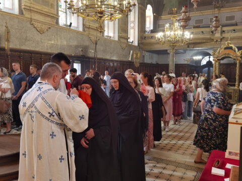 IMG_20240628_110707_resize