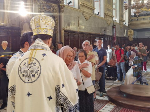 IMG_20240628_110739_resize