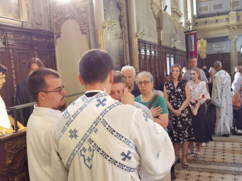 IMG_20240628_110810_resize