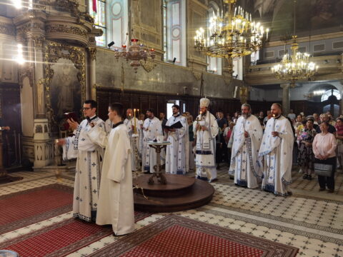 IMG_20240628_112120_resize