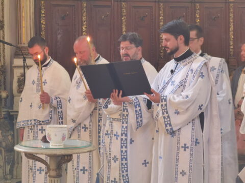 IMG_20240628_112217_resize