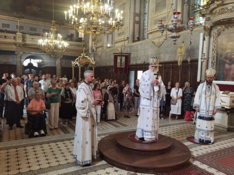 IMG_20240628_113606_resize