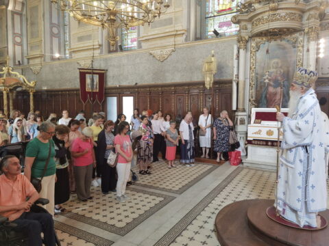 IMG_20240628_113626_resize