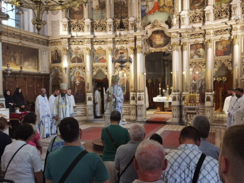 IMG_20240628_113648_resize