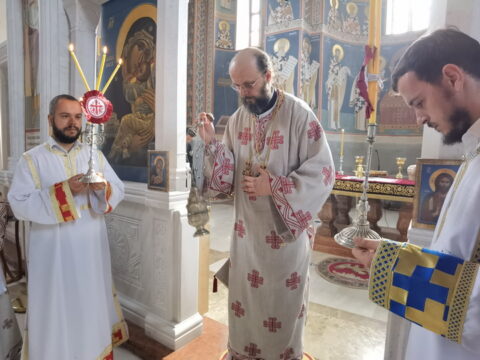 IMG_20240630_080342_resize