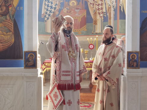 IMG_20240630_082951_resize