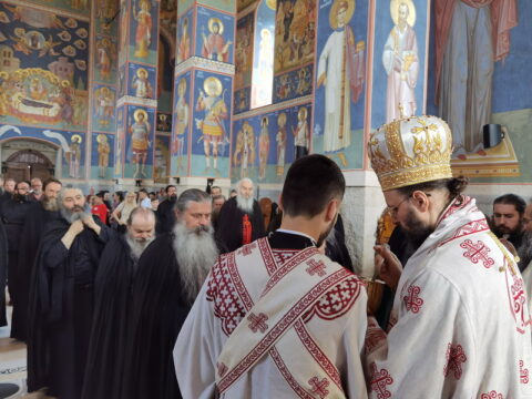 IMG_20240630_084336_resize