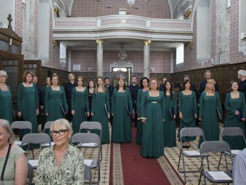 IMG_2932_resize_resize