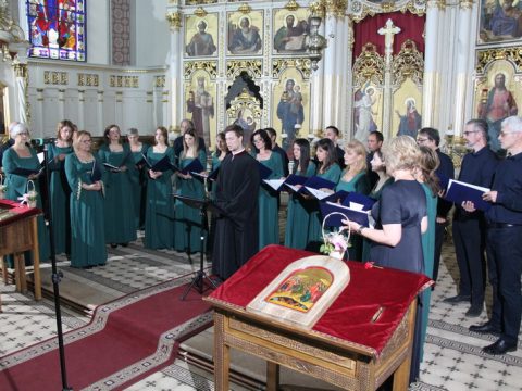 IMG_2974_resize_resize