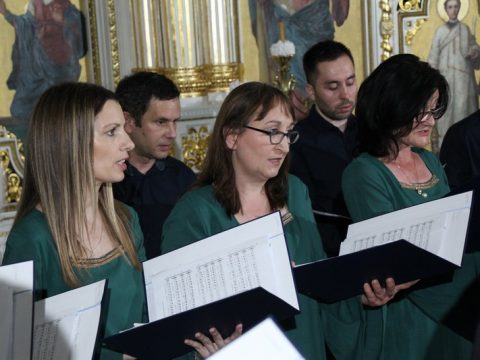 IMG_2993_resize_resize