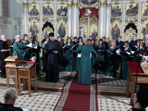 IMG_3004_resize_resize