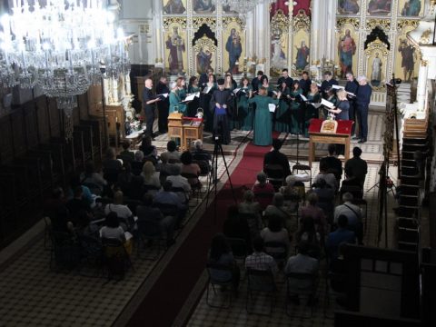 IMG_3022_resize_resize