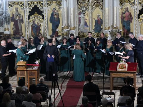 IMG_3029_resize_resize