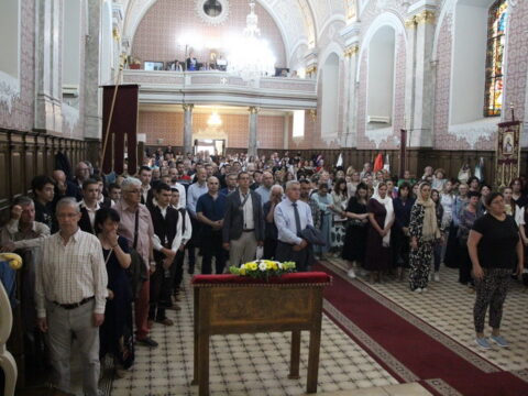 IMG_3060_resize_resize