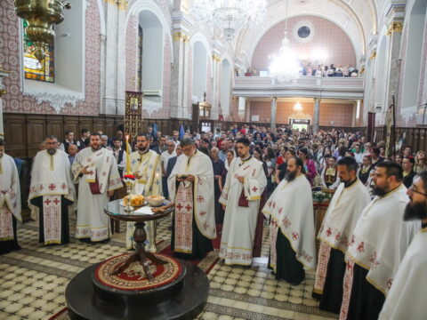 IMG_3062_resize_resize