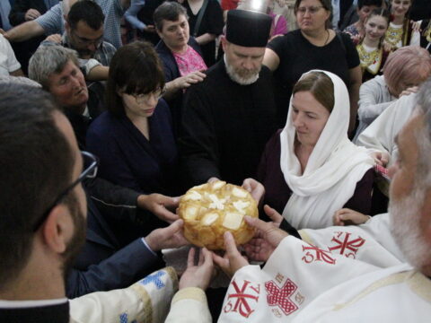 IMG_3094_resize_resize