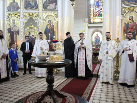 IMG_3104_resize_resize