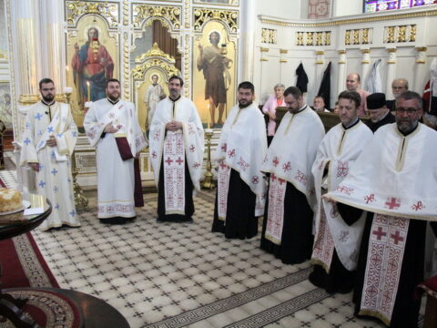 IMG_3113_resize_resize