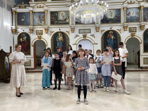 image_50746369_resize