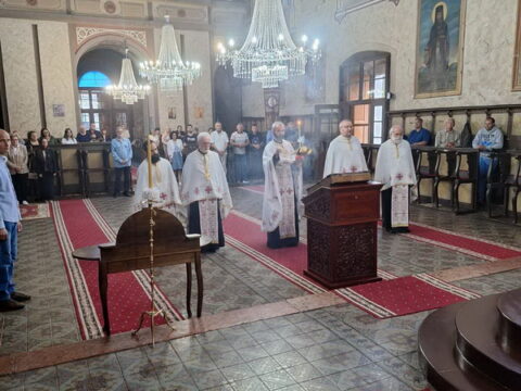 viber_slika_2024-06-13_23-22-57-638_resize