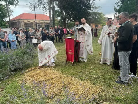 viber_slika_2024-06-13_23-31-45-432_resize