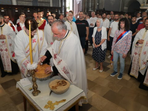 20240707173825_MIKI0468_resize