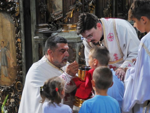 FOTOSIGOR-FACEBOOK+381641182714