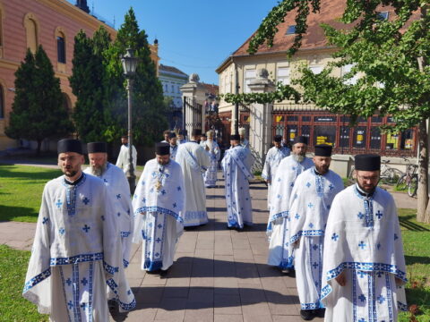 IMG_20240707_085517_resize