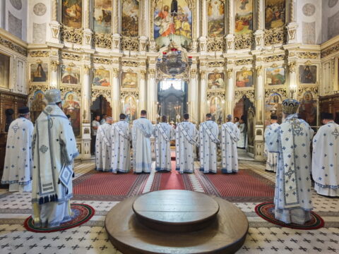 IMG_20240707_085937_resize