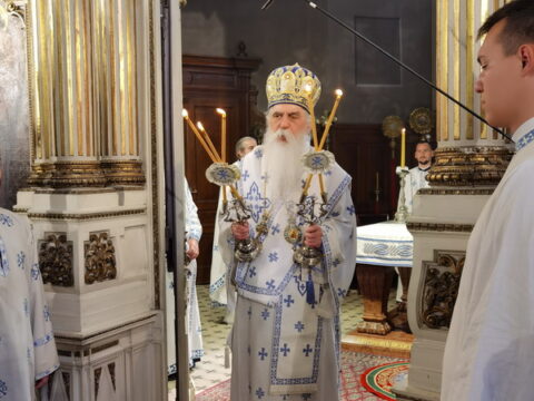 IMG_20240707_093014_resize