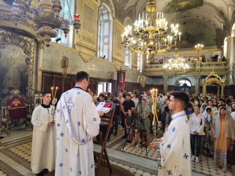 IMG_20240707_093903_resize