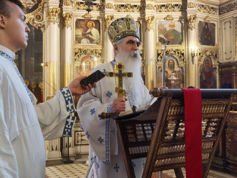 IMG_20240707_094702_resize