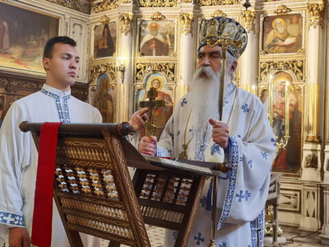 IMG_20240707_094821_resize