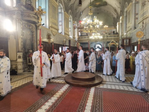 IMG_20240707_102444_resize