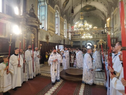 IMG_20240707_102501_resize