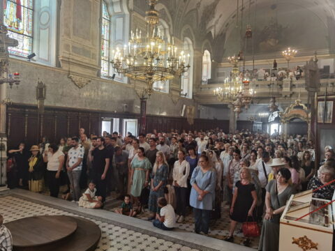 IMG_20240707_102944_resize