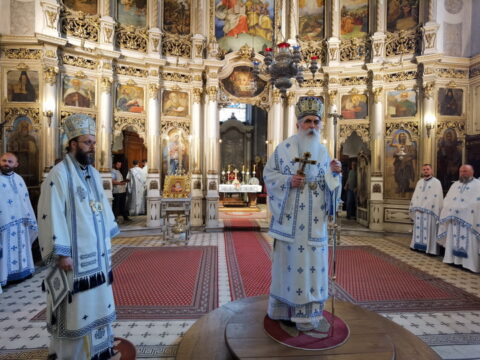 IMG_20240707_112636_resize