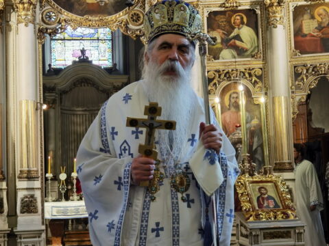 IMG_20240707_112724_resize